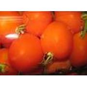 Томаты маринованные помидоры фото