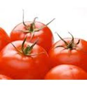 Паста томатная производства 2010 г. фото