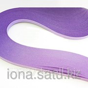 Бумага 130гр., 330мм, 150 полос фиолетовый фиалка фотография