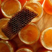 Мёд с прополисом фотография