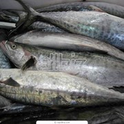 Переработка рыбной продукции