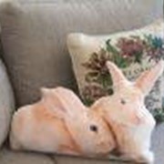 Подушка Рыжие кролики р8 фото