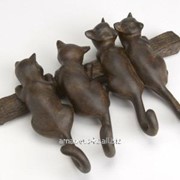 Крючки Кошки коричневые фотография