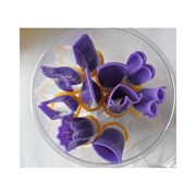 Набор щипцов широкие (гладкие) ММ75 фото