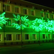 Светодиодные деревья фото
