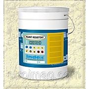 Краска по бетону PAINT RESISTANT (ПЭЙНТ РЕЗИСТЕНТ) 10 кг, INDEX