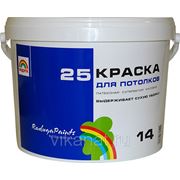 Краска для потолков и стен Радуга 25 14 кг