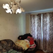 1 комнатная квартира на пр. Победы (Севастополь) фото