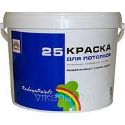 Краска для потолков и стен Радуга 25 3.5 кг