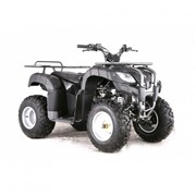 Квадроцикл ATV 150U фото