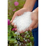 Полиэтилен высокого давления 15313-003 фото