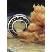 Нефрас фото