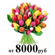 Тюльпаны голландских сортов фотография