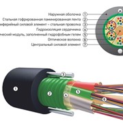 Оптический кабель для прокладки в канализацию ОКСЛ-М на основе модульной конструкции без промежуточной оболочки фото