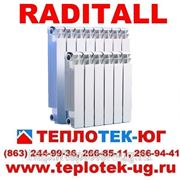 Радиаторы отопления биметаллические Raditall/ Радитал (Италия) фотография
