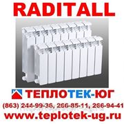 Радиаторы отопления биметаллические Raditall/ Радитал (Италия) фото