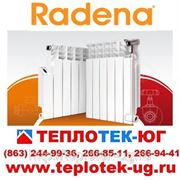 Радиаторы отопления алюминиевые, биметаллические Radena/ Радена (Италия) фотография