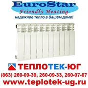 Радиаторы отопления алюминиевые EuroStar(Евростар) фото