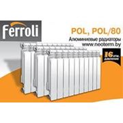 Радиатор алюминиевый Ferroli Pol 500/100