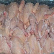 Мясо птицы охлажденное куриное утиное гусиное охлаждёное продам в украине и зарубеж. фото