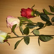 Роза одиночная К8-505-6 001-062 фото