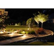 Освещение в саду, декоративная подсветка растений и водоемов фото