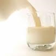 Заменители молочного жира оптом фотография