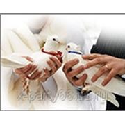Свадьба в Екатеринбурге 319-11-72 фото