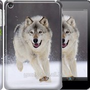Чехол на iPad mini 3 Бегущий волк 826c-54 фотография