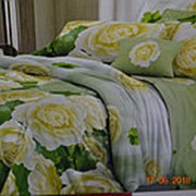 Двухспальный комплект постельного белья из поплина ( 100% хлопок Россия фото