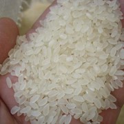 Рис производитель Россия экспорт