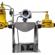 Счетная установка (FAS 98 658) PN25 для газовоза производительностью 420 л/мин фотография