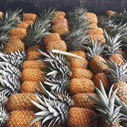 Продаем ананас из Испании фото