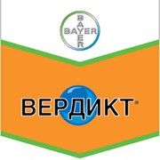 Вердикт