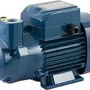 Насос CKm 80 для дизельного топлива и жидких масел фото