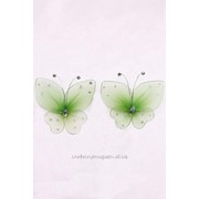 Бабочки из капрона, 10 см, зеленый фото
