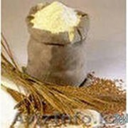 Мука пшеничная хлебопекарная 2 сорт фото
