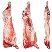 Мясо говяжье полутуши охлажденное в Алматы фотография