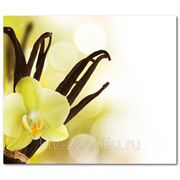 Фотообои Цветок ванили фото