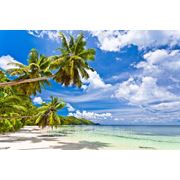 “Тропический пляж“ фотография
