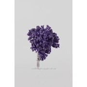 Тычинки "Салют" , фиолетовый, 8 см