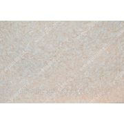 Жидкие обои SILK PLASTER ОПТИМА №058 фото