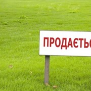 Продам Селькохозяйственное предприятие в Крыму фото