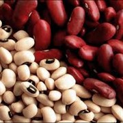 Beans/Фасоль