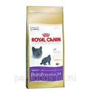Корм Royal Canin Д/Кошек Британская Короткошерстная 2кг. фото
