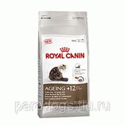 Корм Royal Canin Д/Кошек Эйджинг+12 2кг. фото