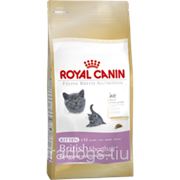 Корм Royal Canin Д/Кошек Киттен Британская Короткошерстная 2кг. фото