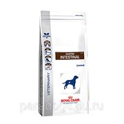 Корм Royal Canin Д/Собак Гастро-Интестинал Канин ГИ25 2кг. фото