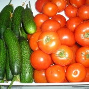 Овощи тепличные фотография