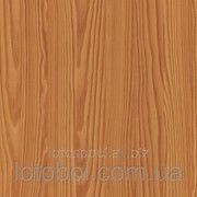 Самоклейка (сосна дачная) 200-2236 4007386031716 фото